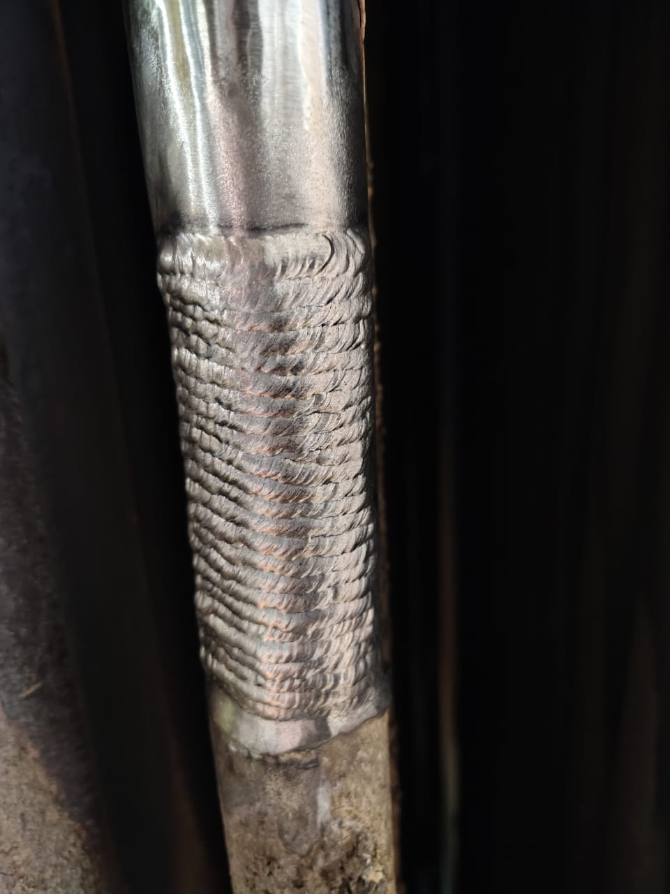 WhatsApp Image 2026-03-25 at 19.22.04.jpeg